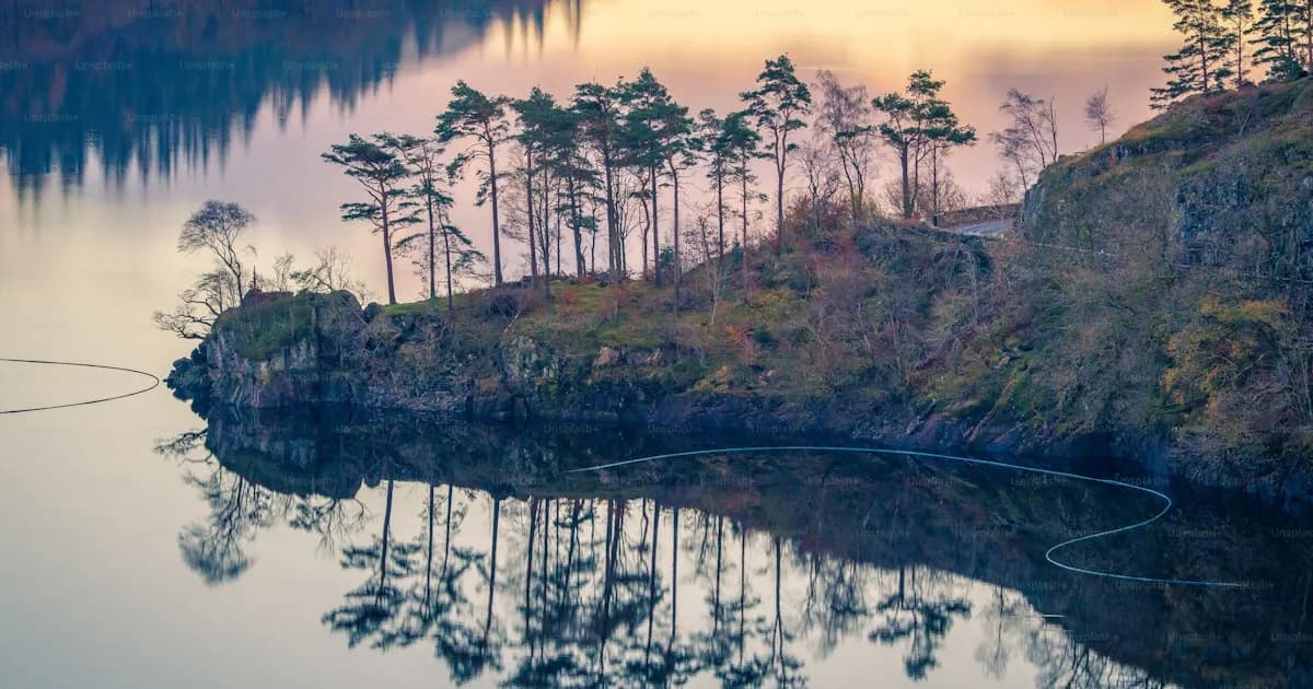 봄 캠핑장 풍경